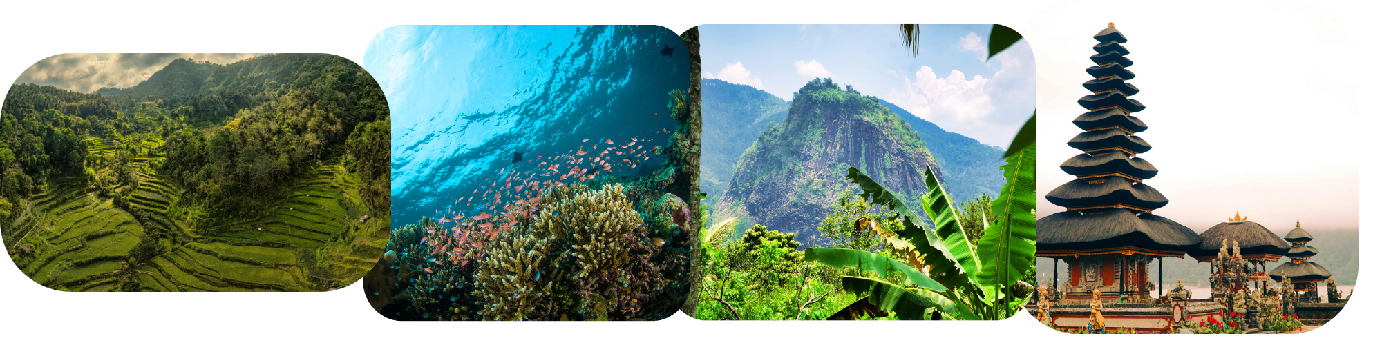 Indonésie Sulawesi